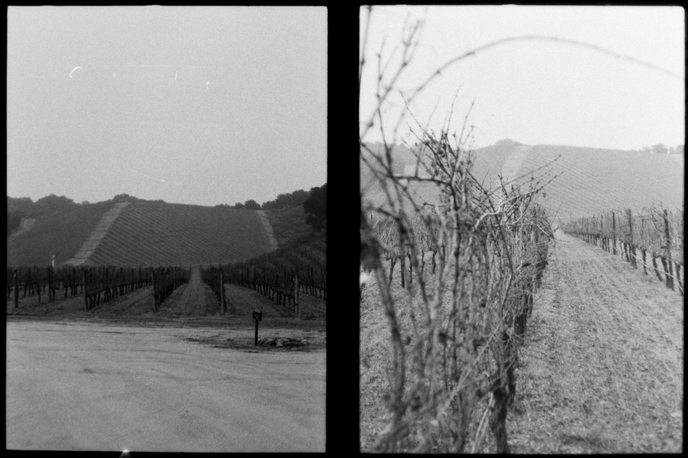 paso_06
