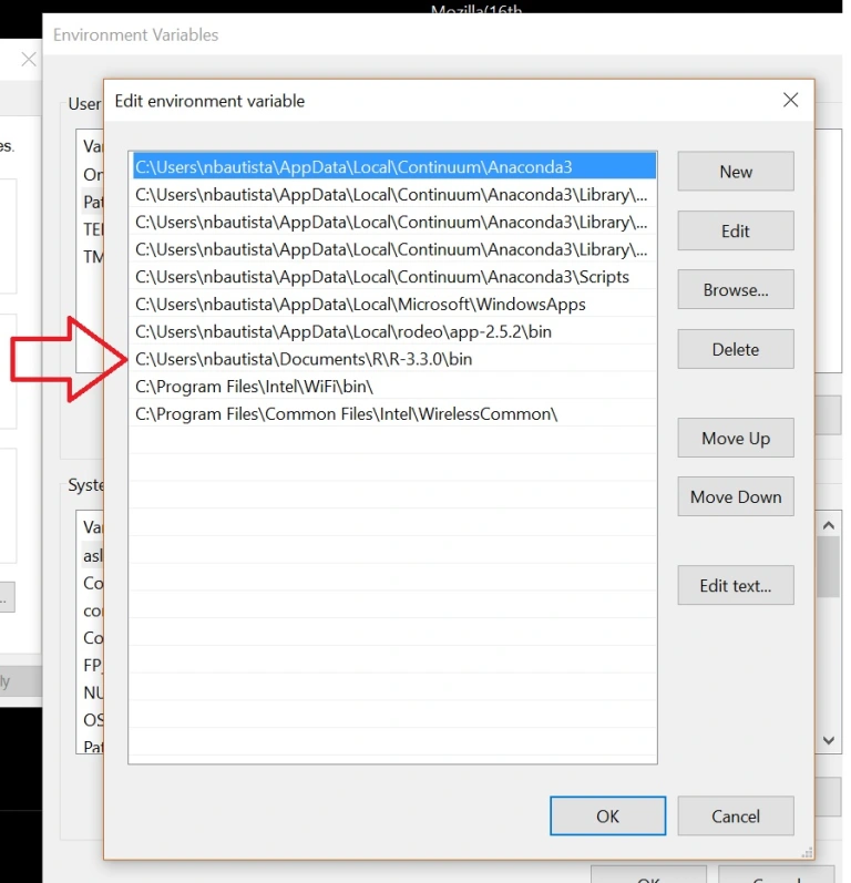 Windows environment variables screenshot